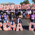Imagem1