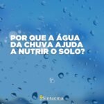 17957968103174759_sintaemasp