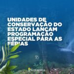 17968513658293105_sintaemasp