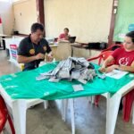 apuração_plebiscito_Carol (2)