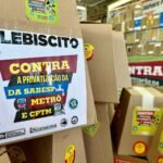 apuração_plebiscito_Carol (5)
