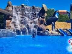 Diversão | Sintaema fecha parceria com parques aquáticos de Piracicaba e de Santa Rita de Passa Quatro